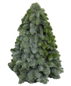 Christmas table tree