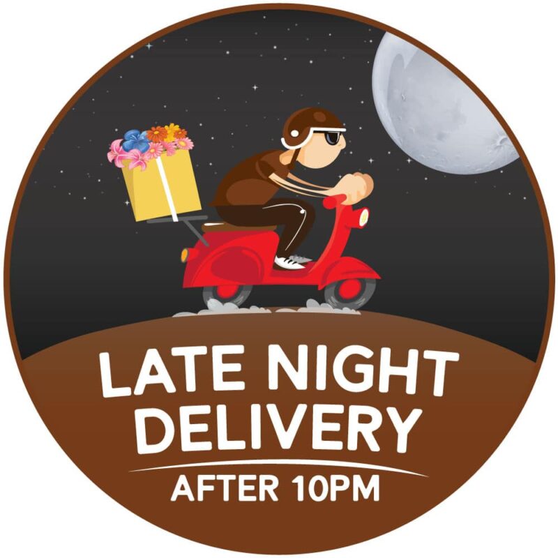 Late-Night-Delivery